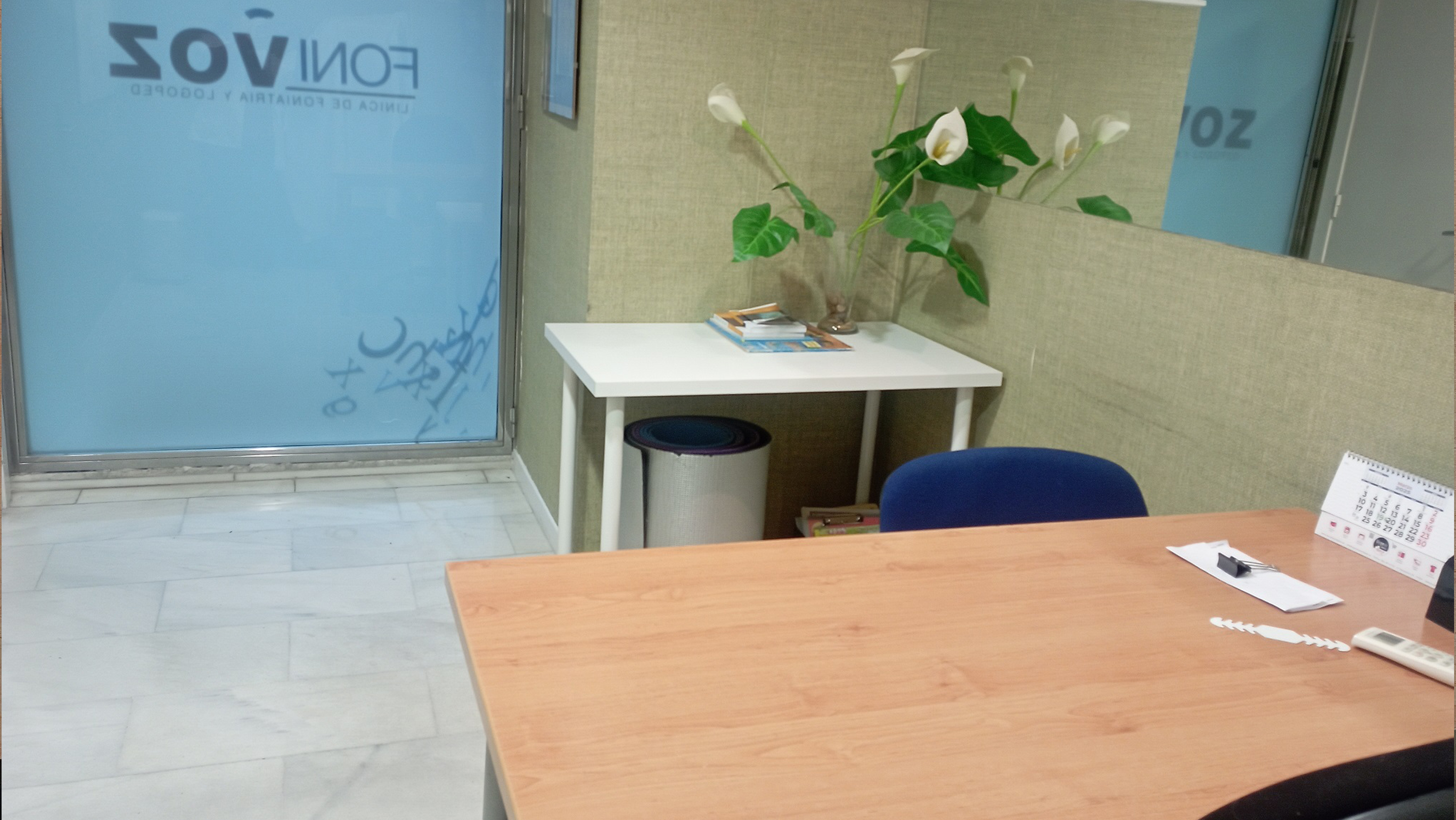 Patologías de la voz